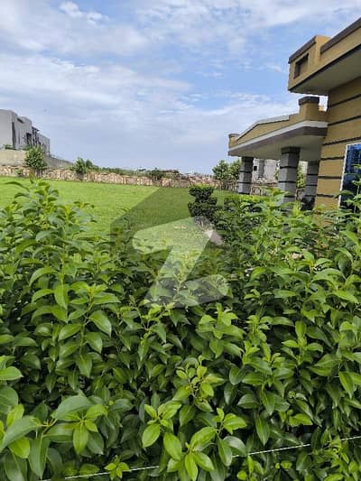 10 Kanal Farmhouse Available For Rent On   Daily Basis For Events.
