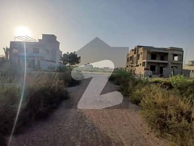 پِیر