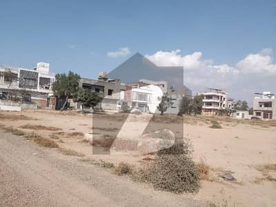 سعدی