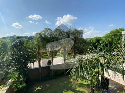 1.5 Kanal Beautiful House For Rent In Spring North