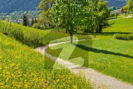 600gz plot for sale