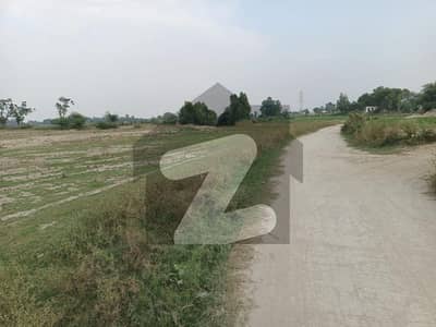 گوندل