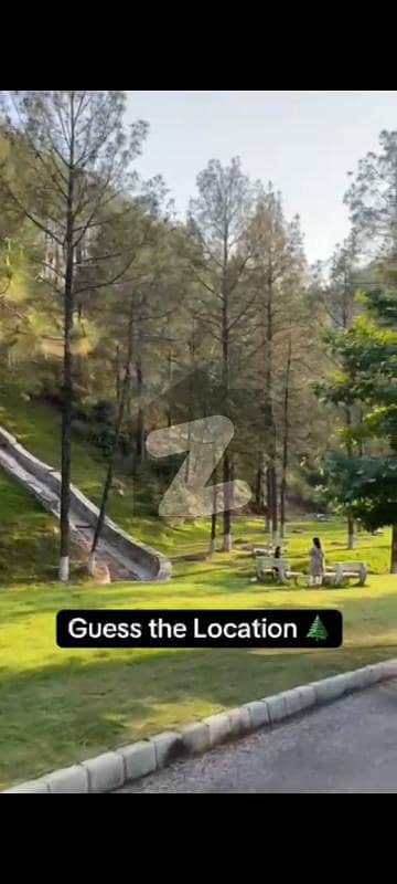 Book 1 Kanal Plot in Pine City Housing Society | Best Investment