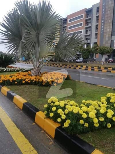 ایم