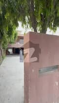 37 