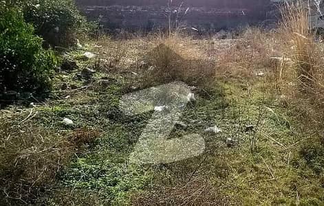 1 Kanal Basement Plot Demand Rs. 180,000,00 (Negotiable)