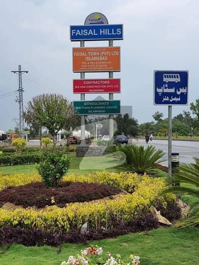 Faisal