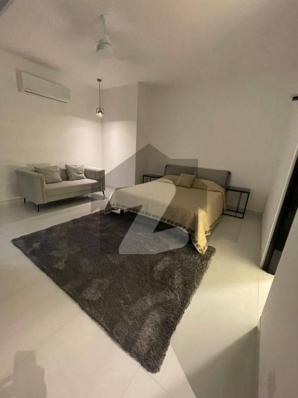 luxurious Fully Furnished independent Ground portion