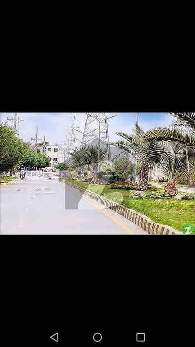 پاک