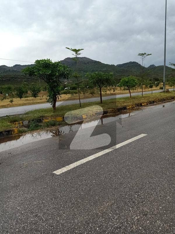 E-11 CDA Northern Strip Plot For Sale. Best Option