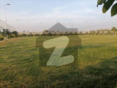 الجدید