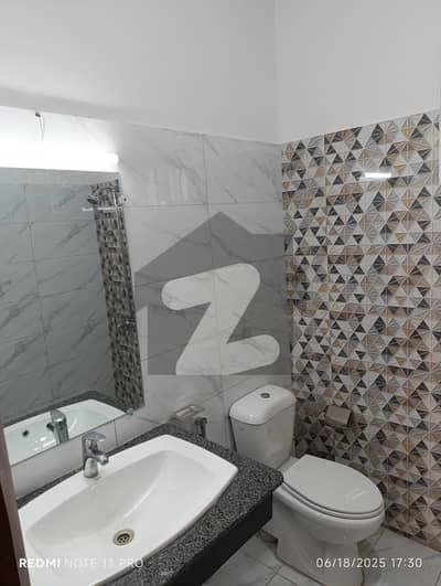 rent A House In D-12 Prime Location