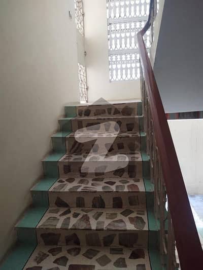 نارتھ