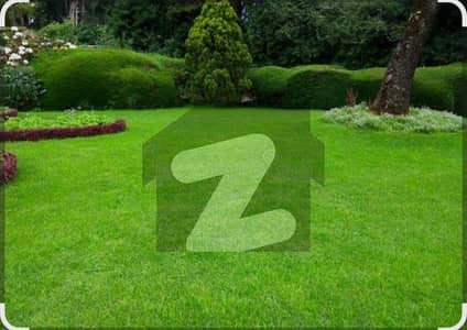 Farm House For Sale