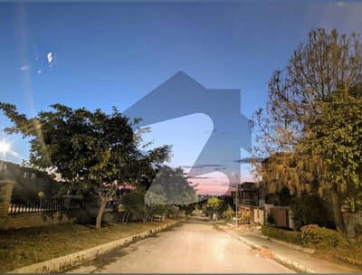 عمارکینیان