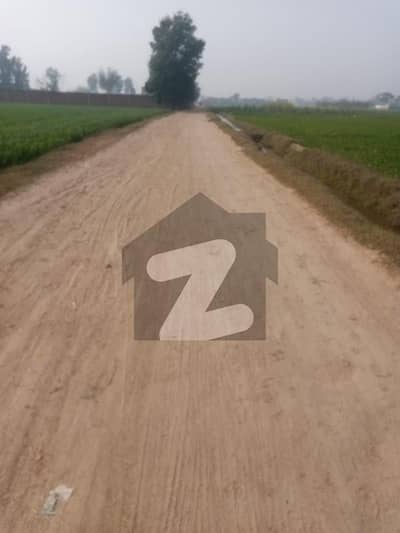 بیدیاں