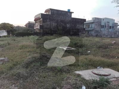Looking For A Residential Plot In D-12