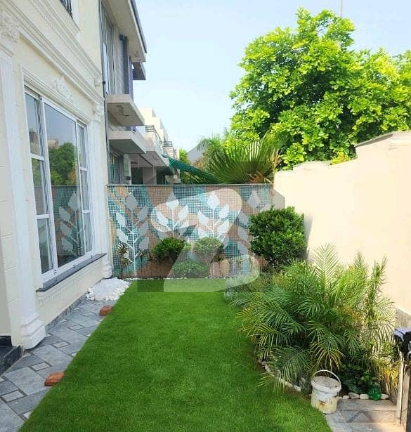 Looking For A House In Lahore