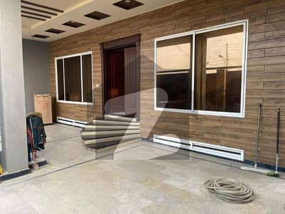 Fresh Untouch House For Rent