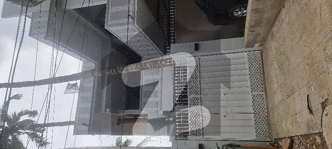 نارتھ