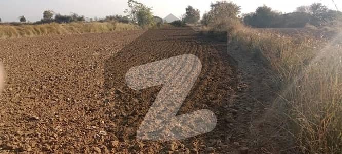 53 Kanal Agriculture Land
