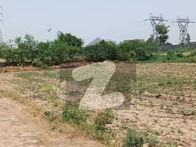 Buying A Commercial Plot In Multan Road?