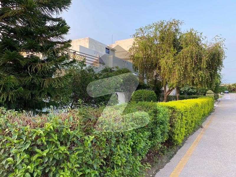 Zamar velly Executive block 5 Marla plot of sale Zamar velly Executive block 5 Marla plot of sale