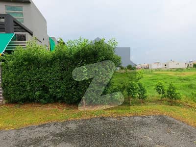 DHA