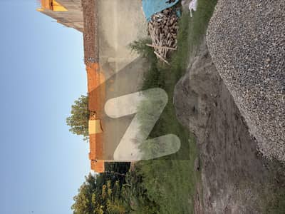 بنی