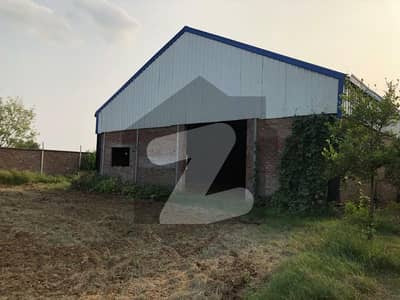 Farm House For Sale 12 Kanal 11 Marla