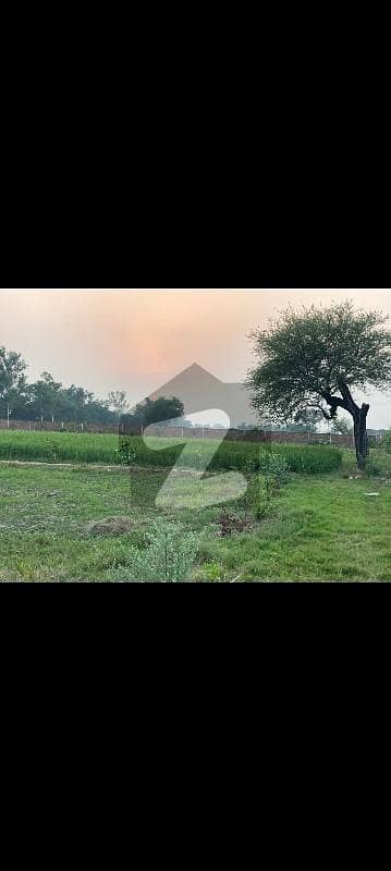 ہڈیارا لاہور میں 20 کنال زرعی زمین 3.3 کروڑ میں برائے فروخت۔ ہڈیارا لاہور میں 20 کنال زرعی زمین 3.3 کروڑ میں برائے فروخت۔