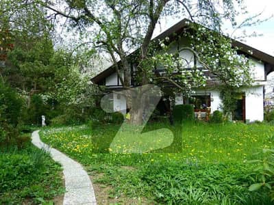 400 SQ YD PLOT FOR SALE AT Pair LOCATION