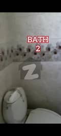 20 