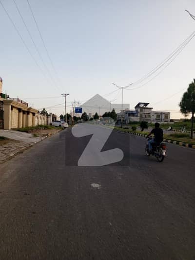 نیو