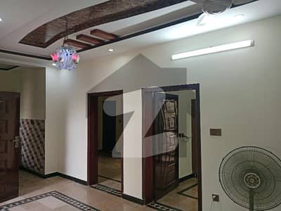 صنوبر
