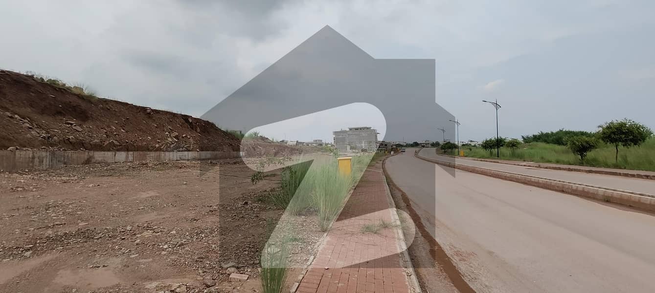 Develop plot solid location