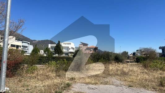 Dha