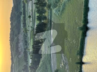 بلکاسار