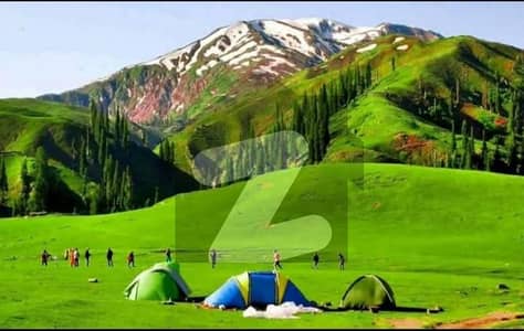 ایف