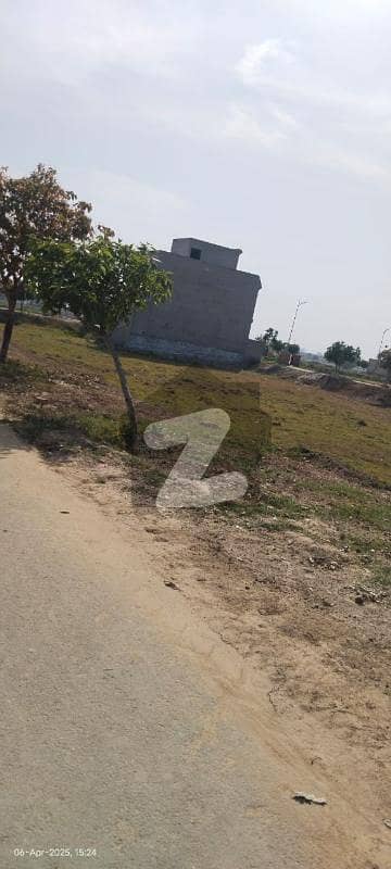 نیو