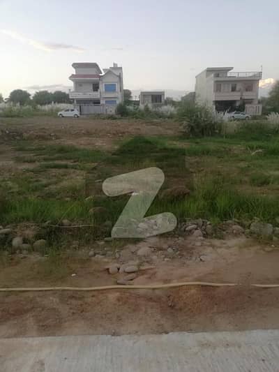 جناح