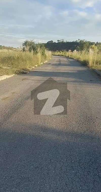 *"8
