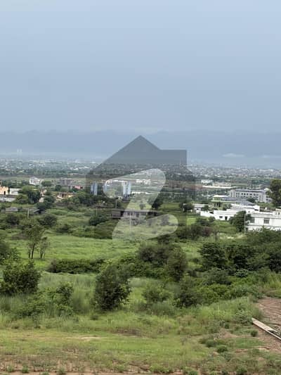 Gulberg