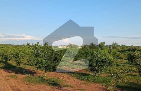 فتح