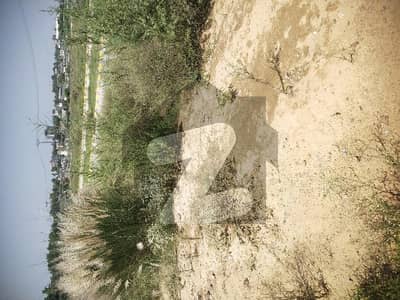 جی
