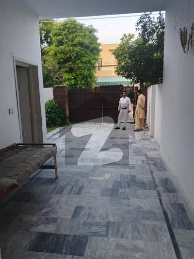 ڈی