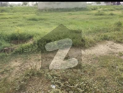 ڈی