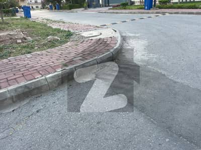 Sector