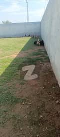 20 