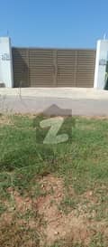 25 
